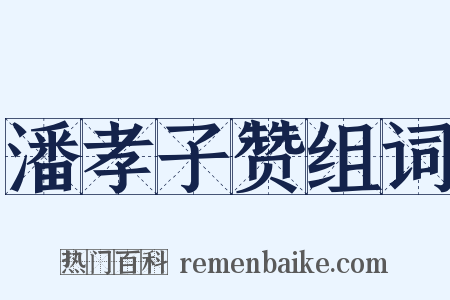 潘孝子赞组词是什么意思的图片